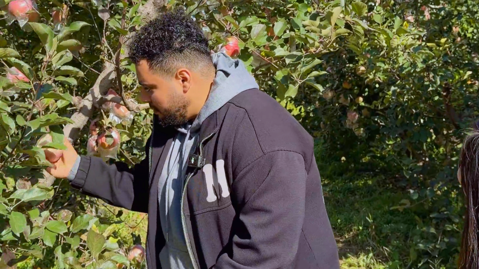 河海微心愿|也门小伙爱心接力 助销裂口苹果近万斤