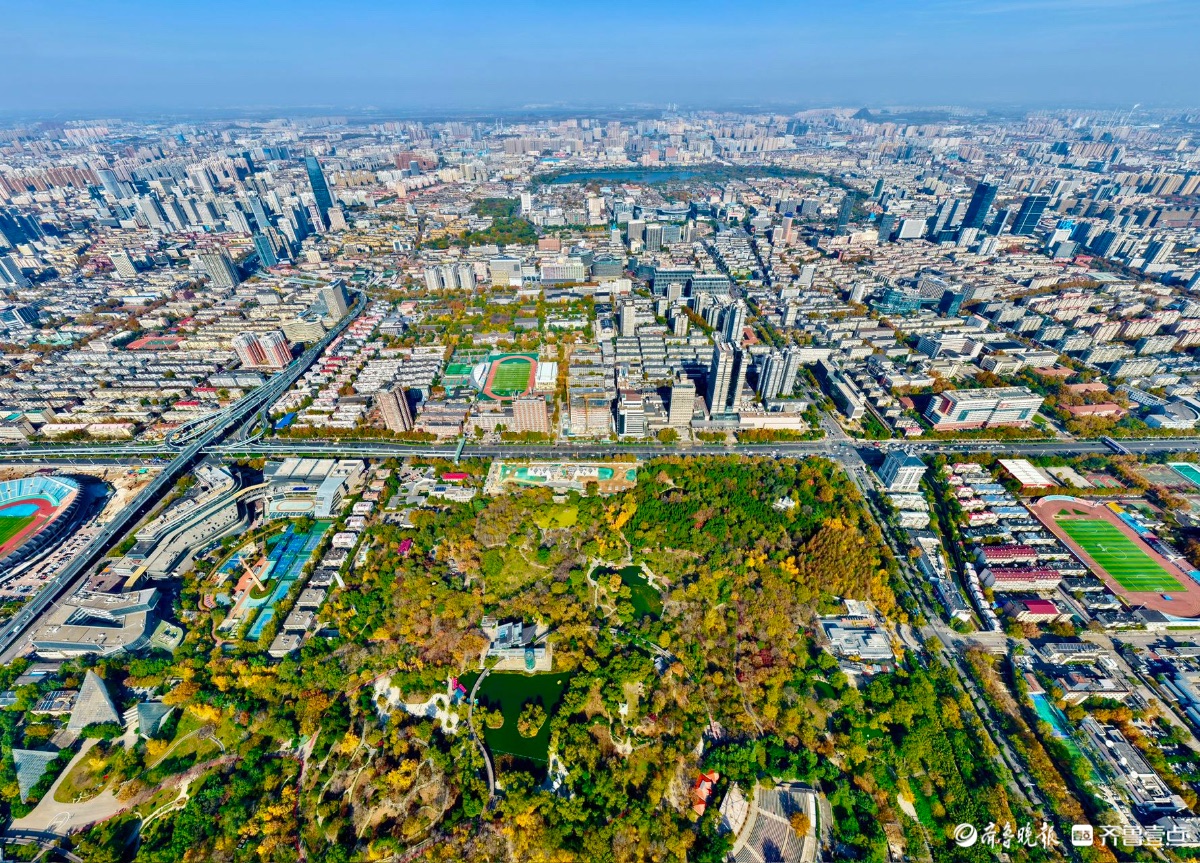 初冬的泉城公园色彩斑斓，层林尽染间泼墨挥毫