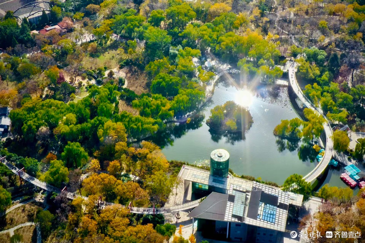 初冬的泉城公园色彩斑斓，层林尽染间泼墨挥毫