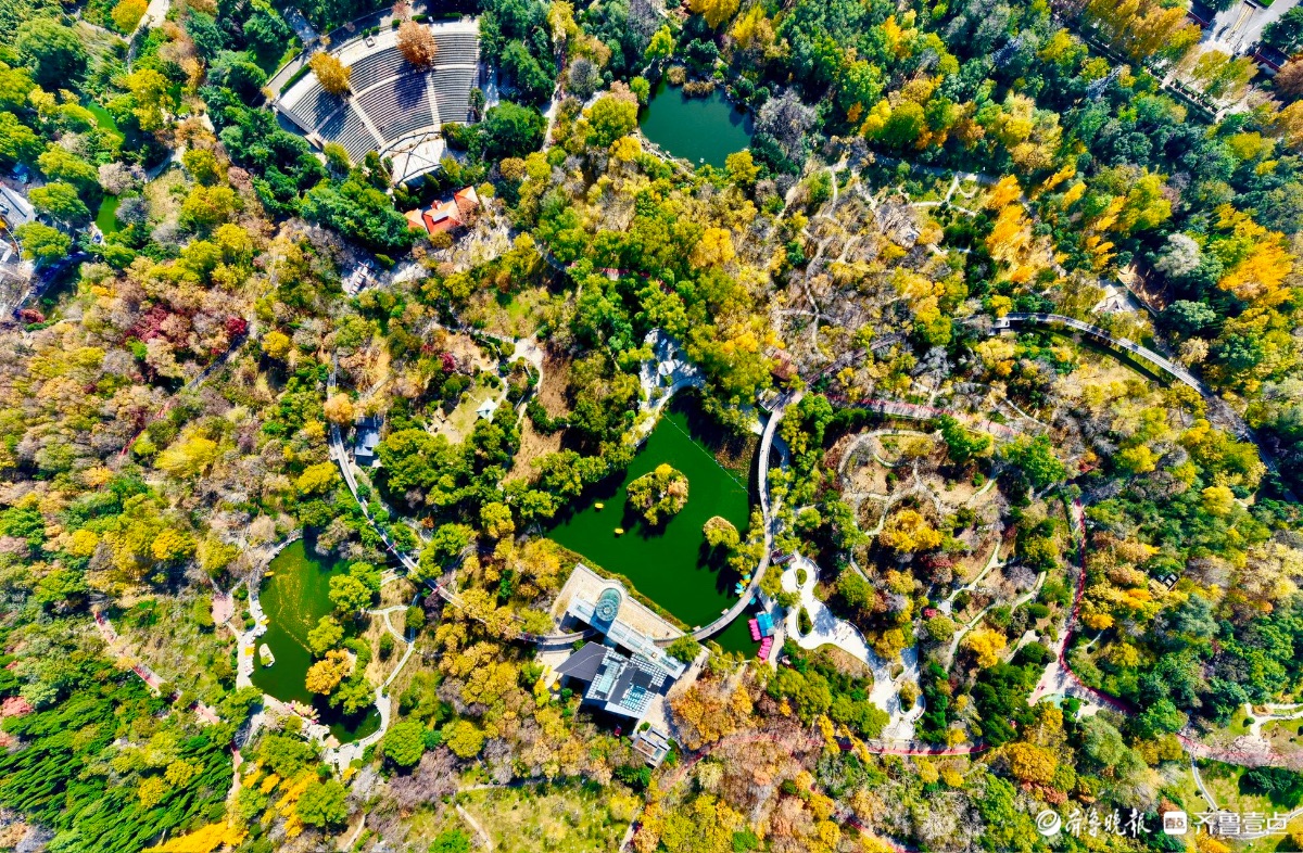 初冬的泉城公园色彩斑斓，层林尽染间泼墨挥毫