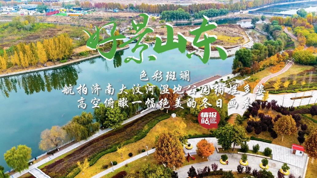果然视频·好景山东|济南大汶河湿地公园色彩绚烂，一幅绝美画卷