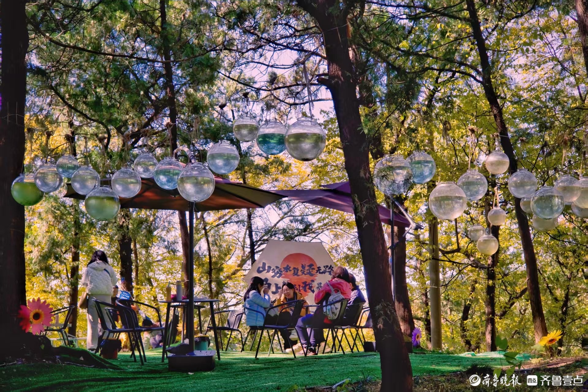 俞见 | 林中秋色