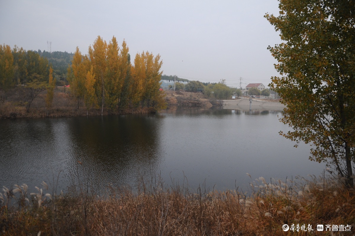 淄川杏山水库，色彩多姿