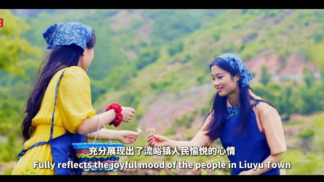 视听山东·平邑|流峪镇金银花
