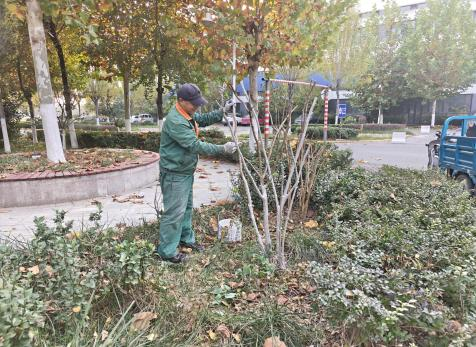 执“白”为笔，绘就园区冬日诗意