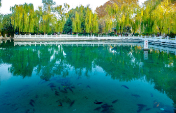 壹点日历11.14|每一天都是全新的开始，勇敢追求梦想！早安