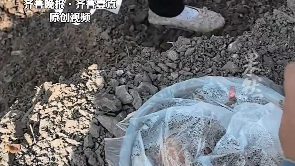 果然视频｜不愧是好客山东！河南人在日照打工被山东大姨“投喂”