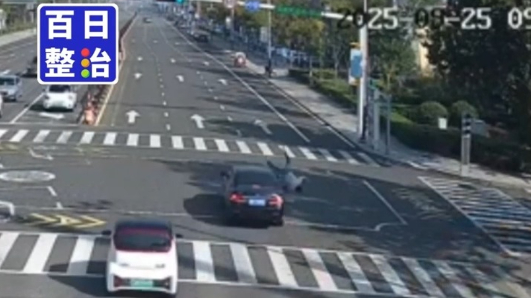 百日整治丨骑电动自行车闯黄灯被撞受伤，交警：需承担事故责任