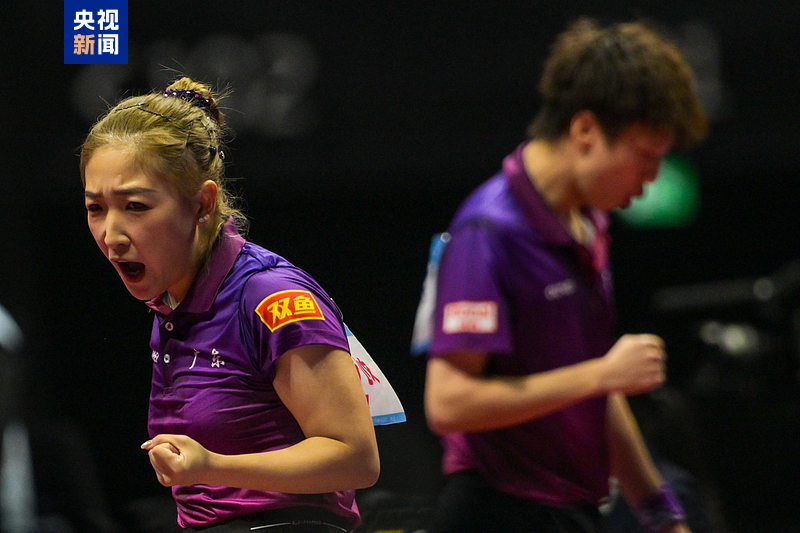 全运会今日看点：马龙亮相，张雨霏于子迪蝶泳争金