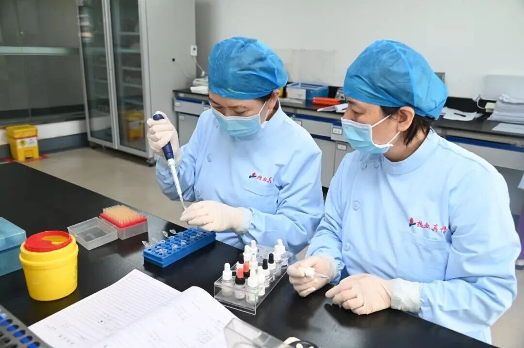 青岛固定献血者基因数据库改写疑难配血格局