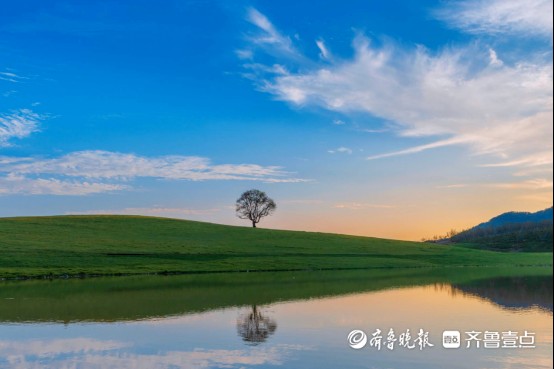 艺术为笔，山水为卷！日照白鹭湾小镇绘就乡村振兴新图景