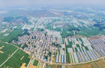 做有“最强大脑”的乡村合伙人