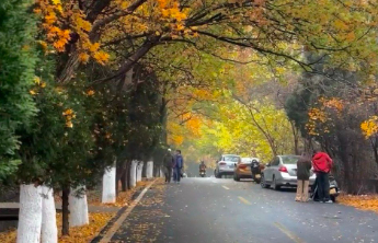 最低-6℃，大部骤降10℃！周日寒潮侵袭山东，半岛北有小雨雪