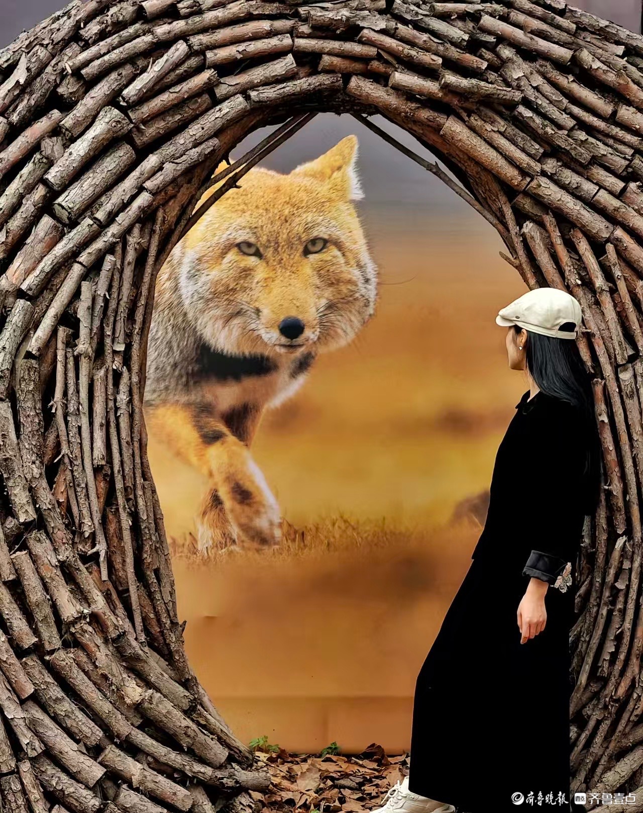 浙江丽水摄影展上的美女与野兽