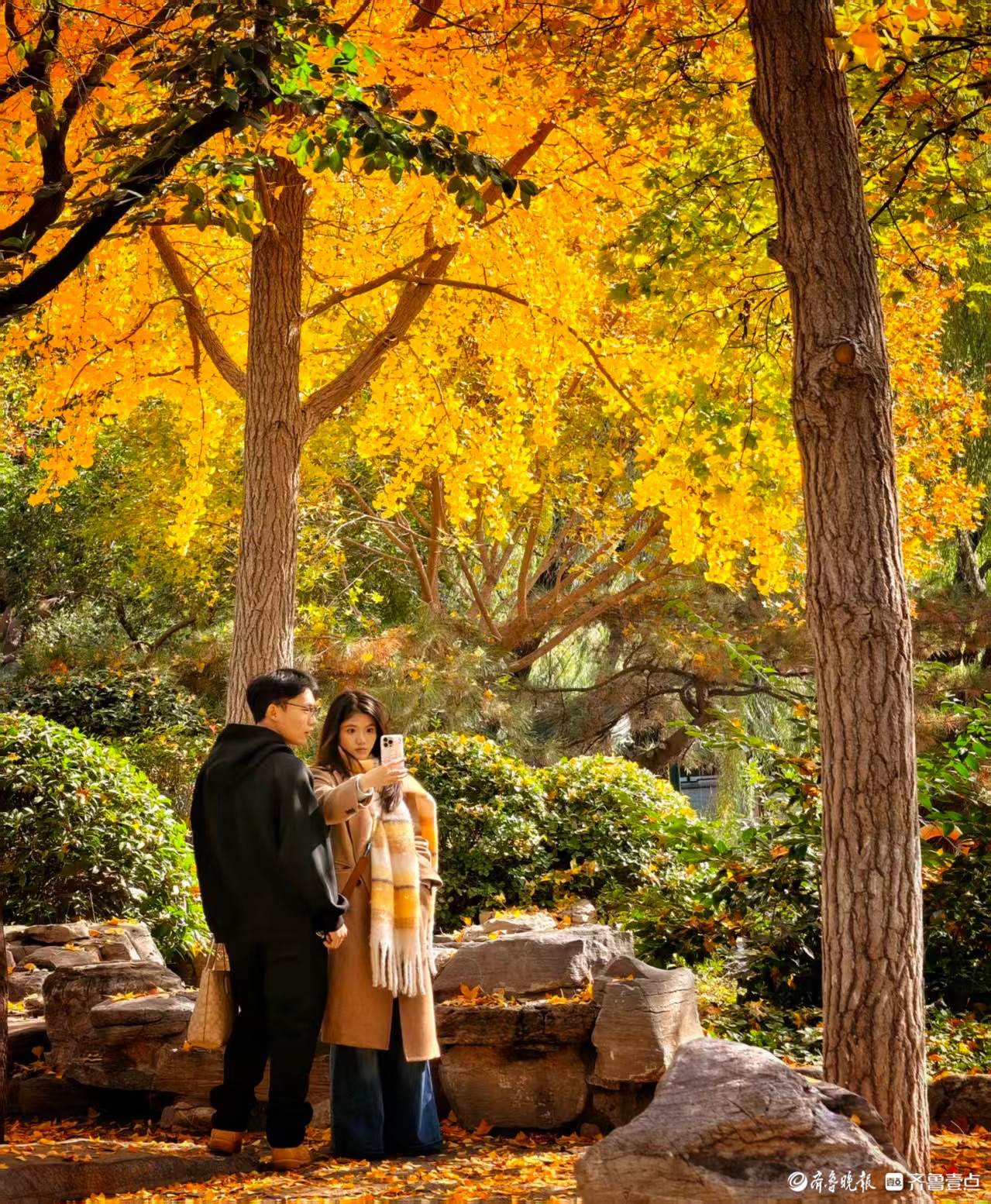 济南护城河畔，留下秋的美好