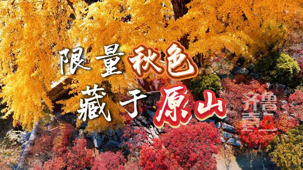 时令里的原山①｜限定秋色，藏于原山