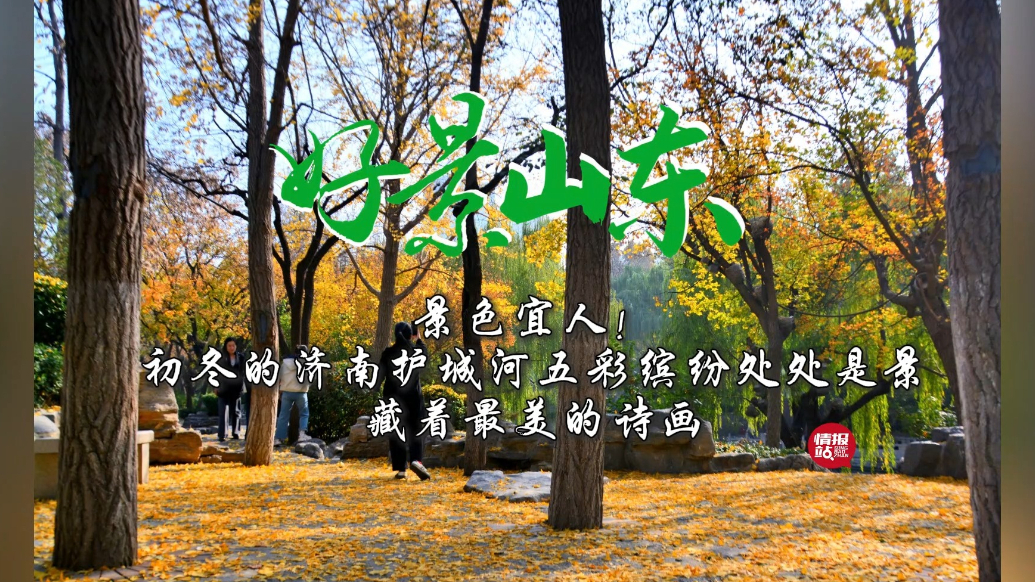 果然视频·好景山东|初冬的济南护城河五彩缤纷，藏着最美的诗画