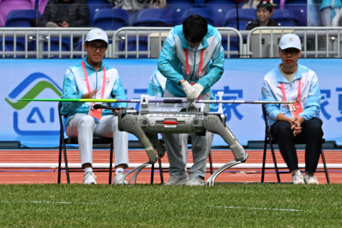 图集|好帮手！全运会田径赛场，机器狗助力标枪运输
