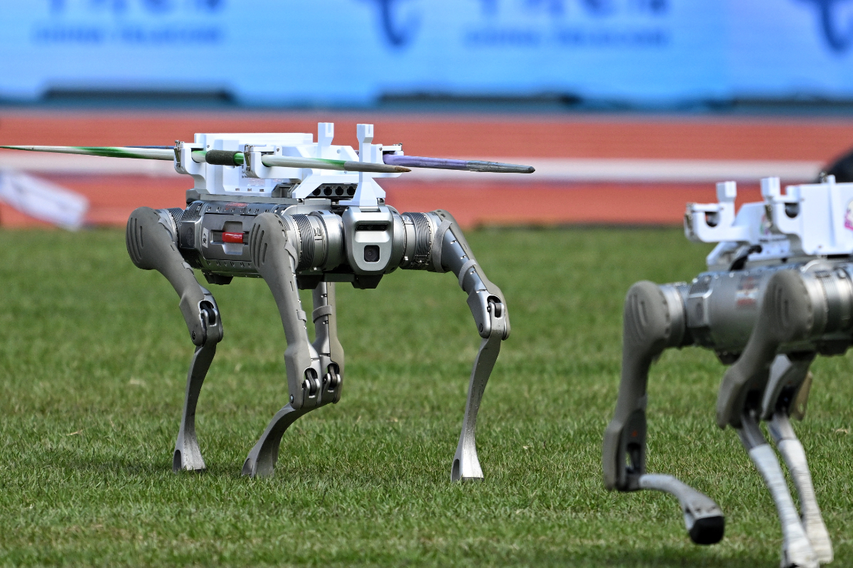 图集|好帮手！全运会田径赛场，机器狗助力标枪运输