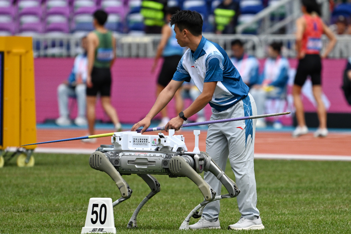 图集|好帮手！全运会田径赛场，机器狗助力标枪运输