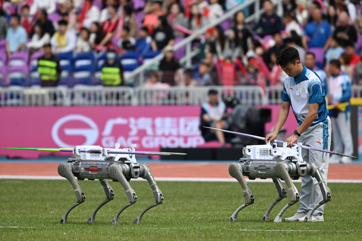 图集|好帮手！全运会田径赛场，机器狗助力标枪运输