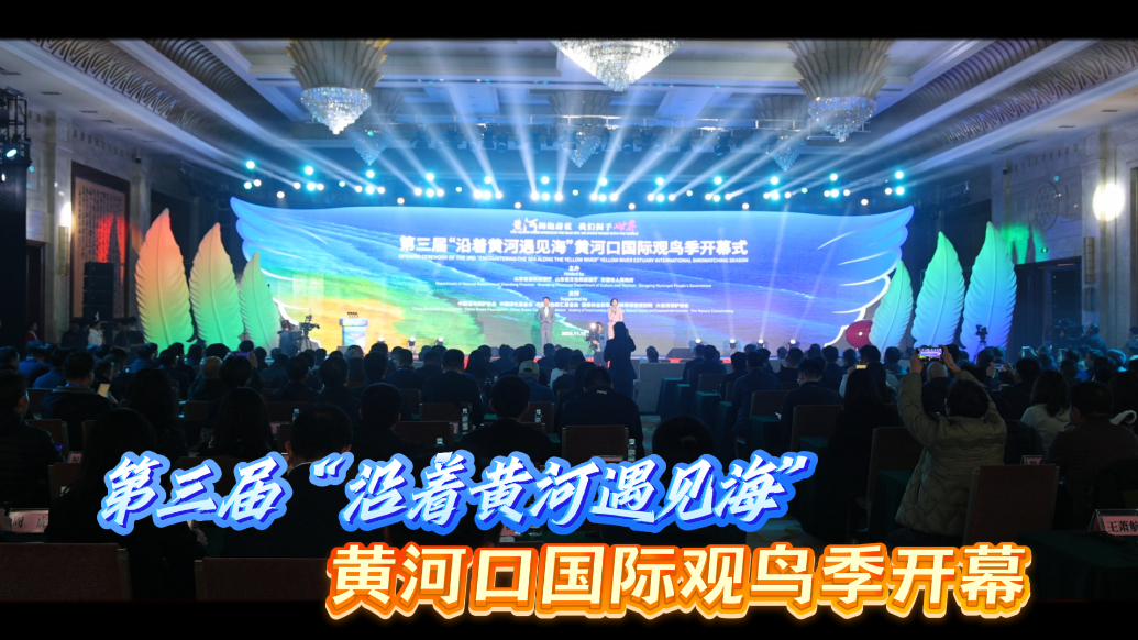 第三届“沿着黄河遇见海”黄河口国际观鸟季开幕