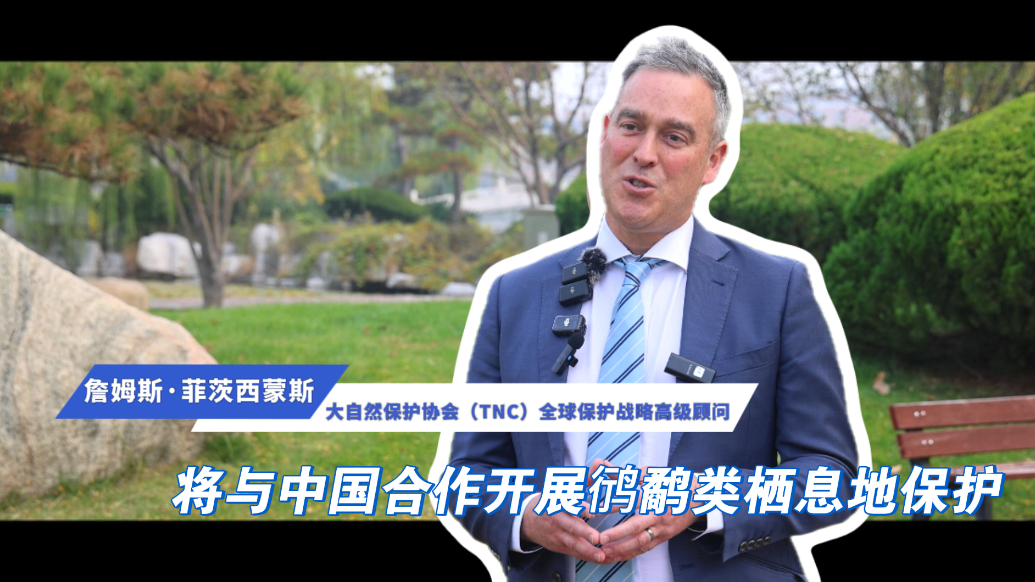 大自然保护协会全球战略顾问：将与中国合作开展鸻鹬类栖息地保护