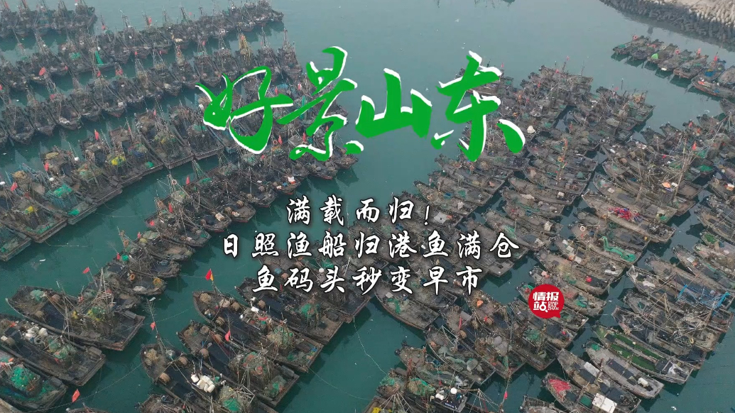 果然视频·好景山东|日照渔船归港鱼满仓，鱼码头秒变早市人气旺