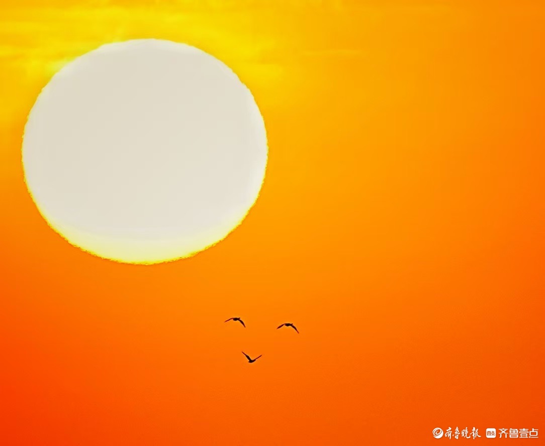 东营生态湿地的阳光笑脸