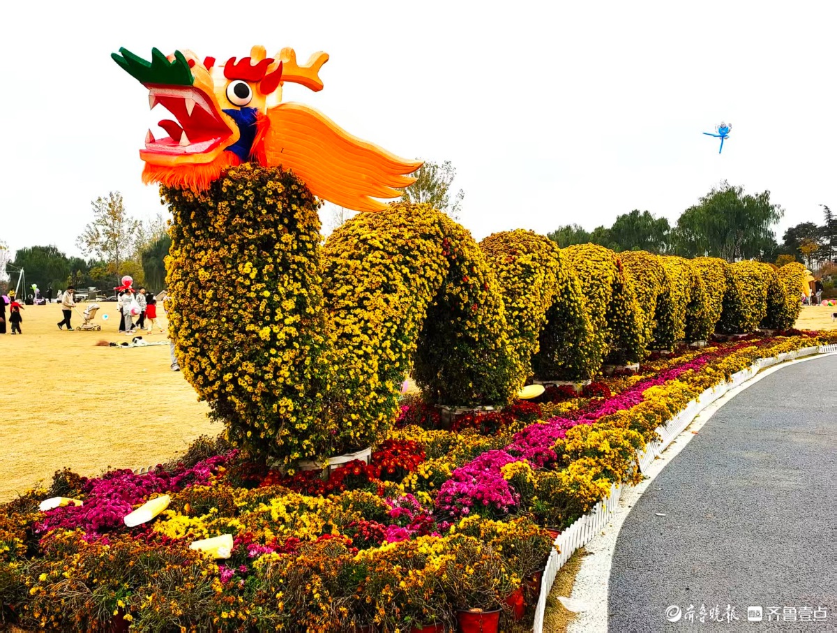 千万朵菊花簇拥，呈现出优美造型
