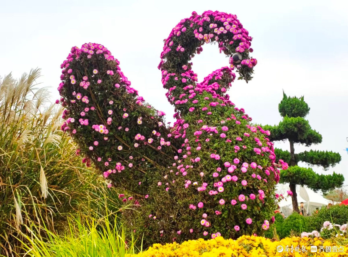 千万朵菊花簇拥，呈现出优美造型
