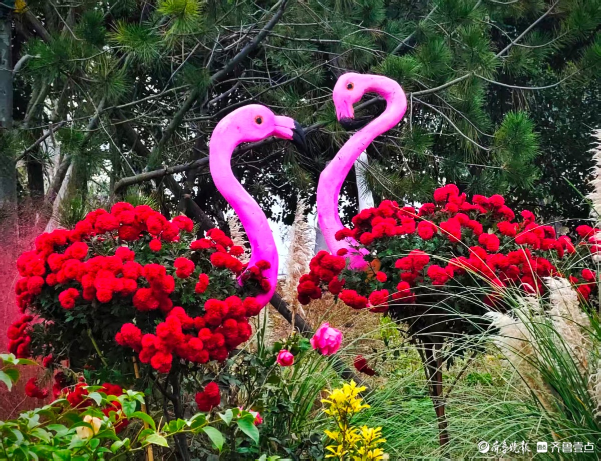 千万朵菊花簇拥，呈现出优美造型