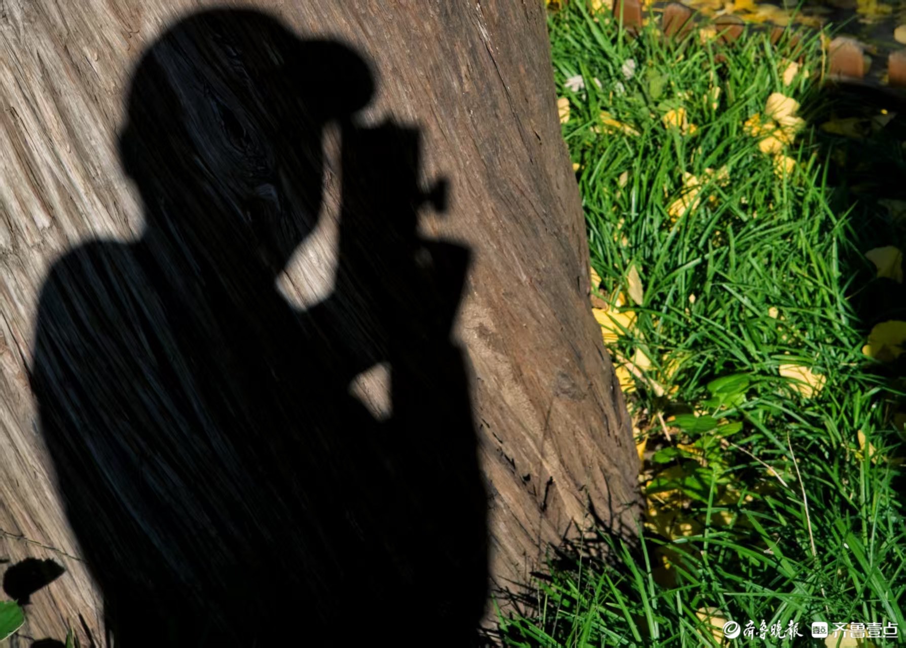 俞见 | 心中的秋色