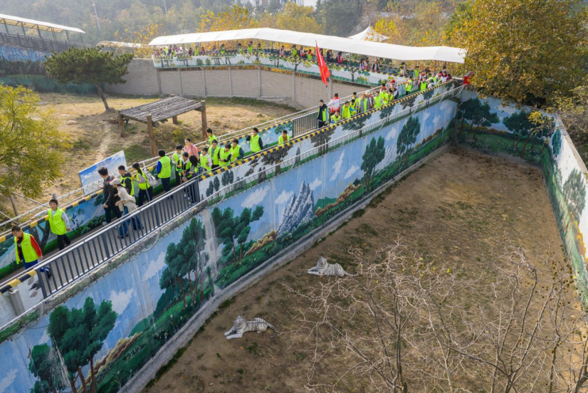 “以爱之名，伴我童行”西霞口助力112名困境儿童畅游动物王国