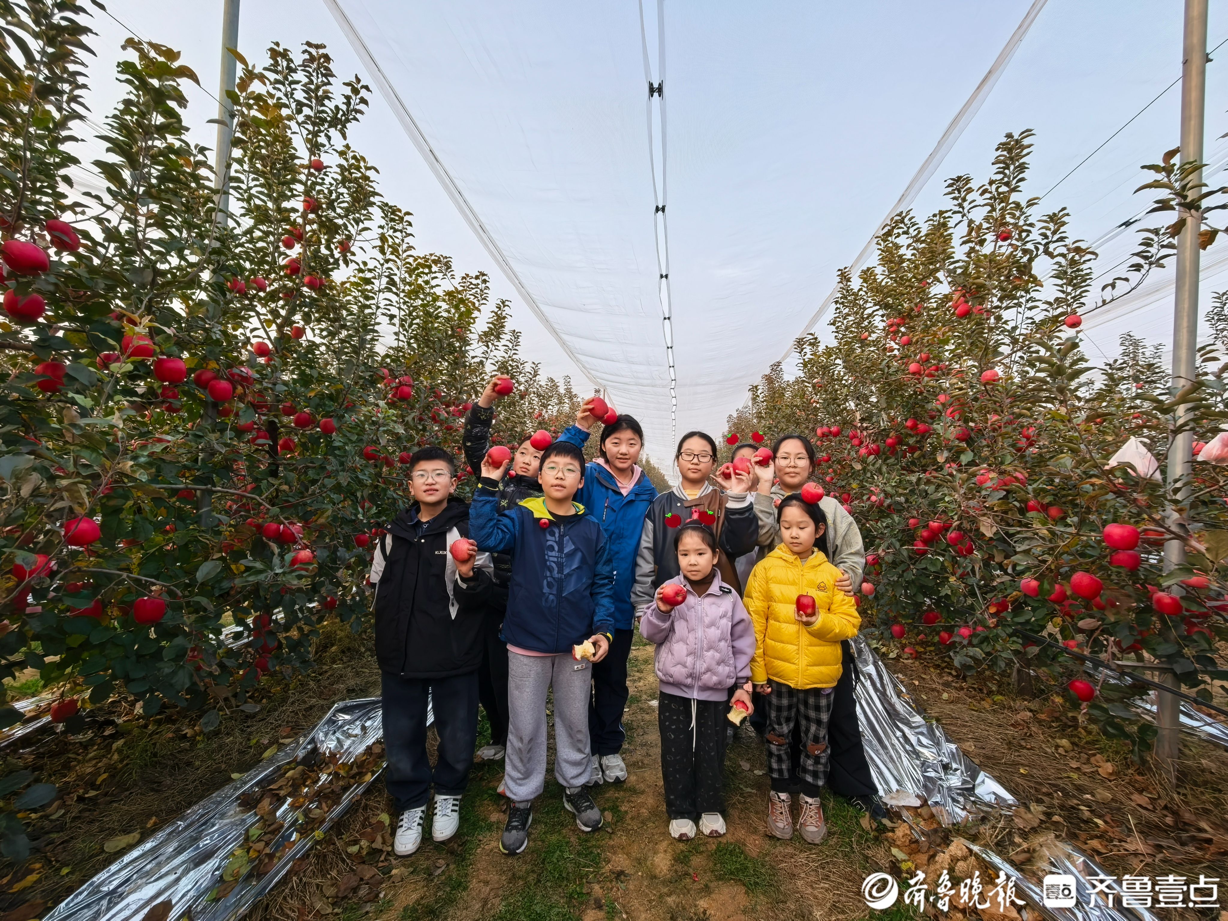 图集|果香满烟台！“跟着苹果去旅行”开启亲子周末新玩法