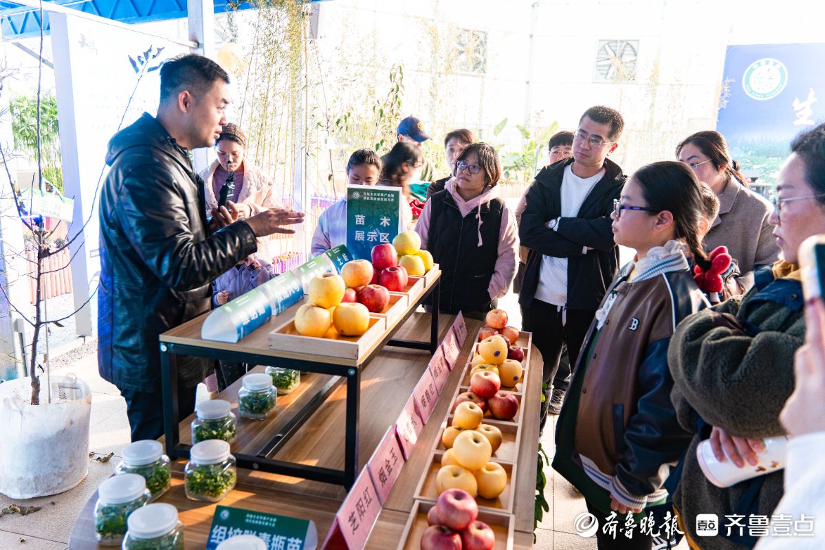 图集|果香满烟台！“跟着苹果去旅行”开启亲子周末新玩法