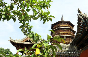 残疾人进景区，陪护人员是否免票？各地政策如何？