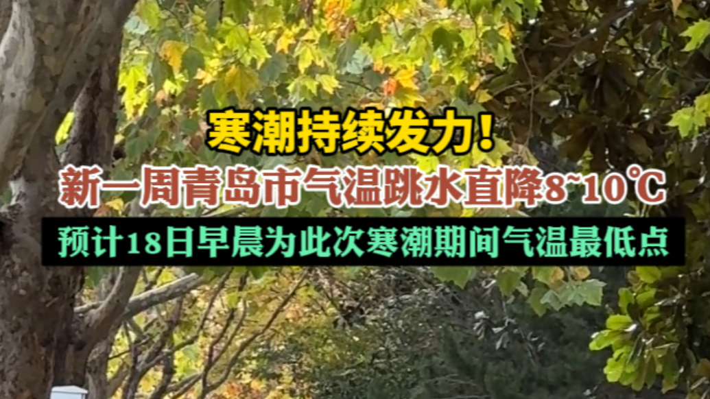 果然视频丨寒潮发力了！新一周青岛市气温跳水直降8-10℃