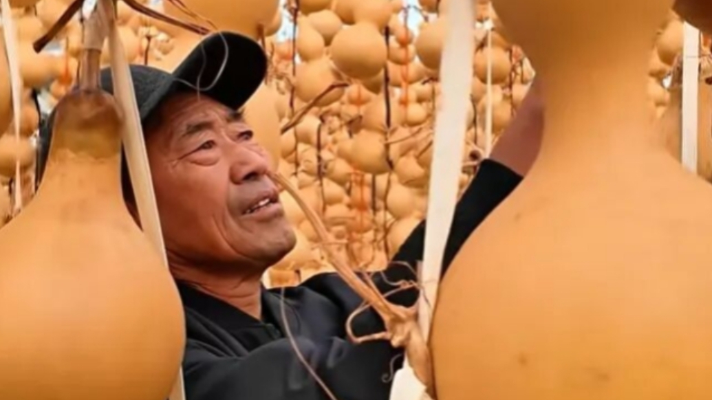 果然视频丨莱西七旬“葡萄专家”跨界成为“葫芦爷爷”