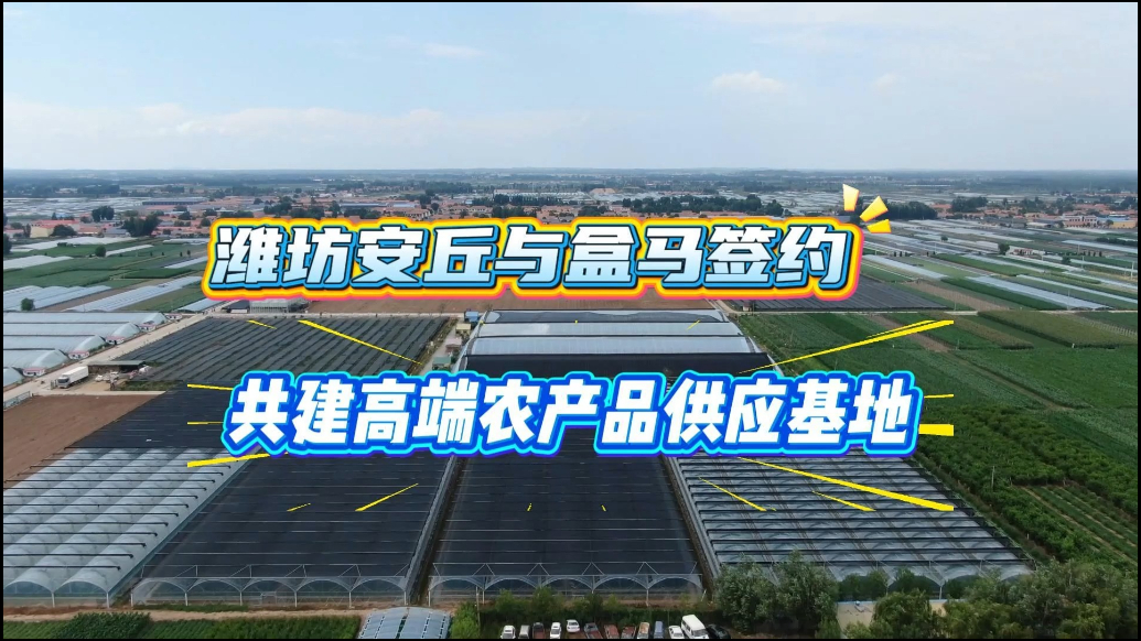 果然视频|潍坊安丘与盒马签约，共建高端农产品供应基地