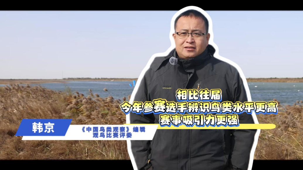 韩京：相比往届，今年参赛选手辨识鸟类水平更高、赛事吸引力更强