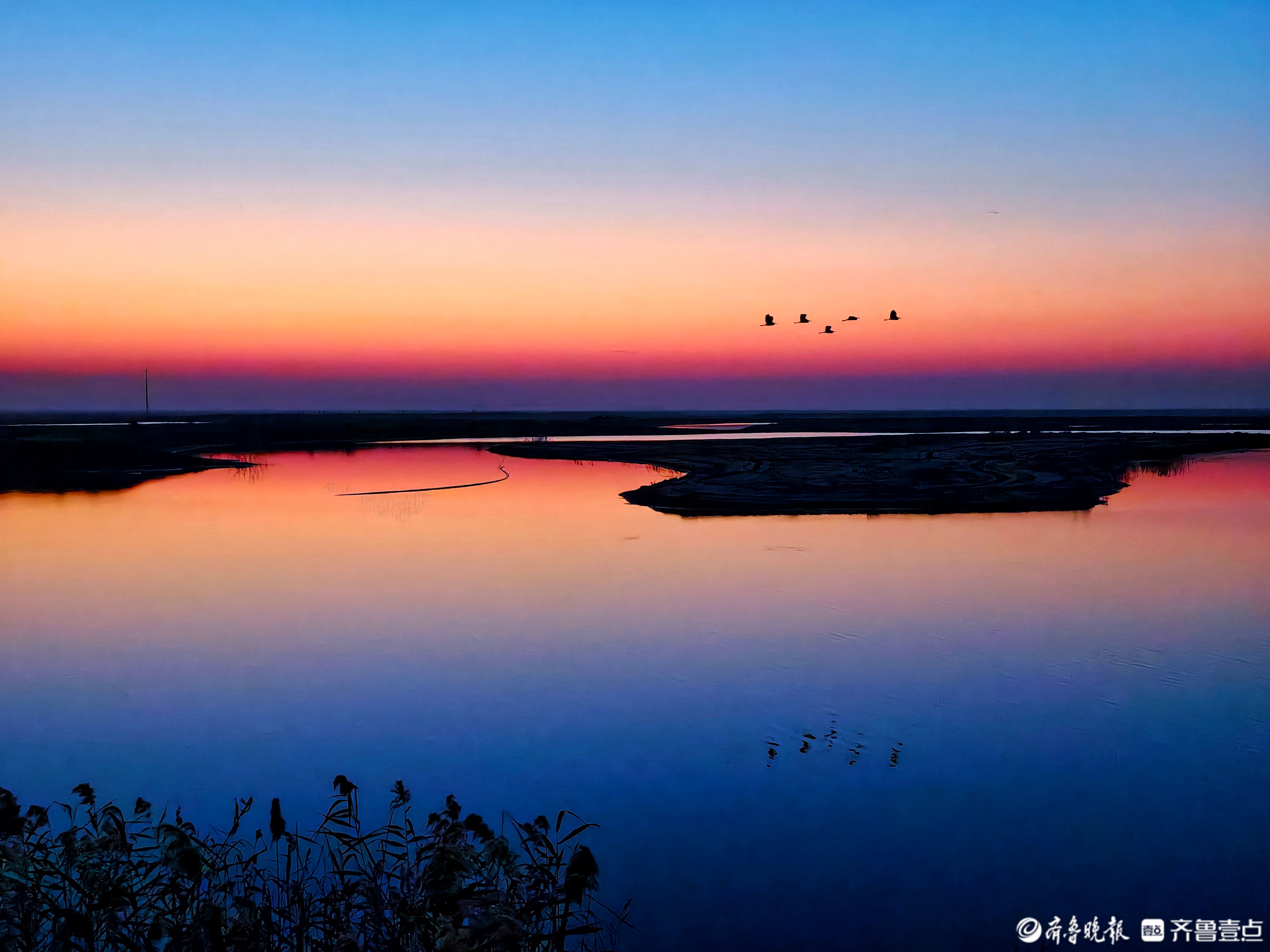 东营黄河生态湿地的晨曦