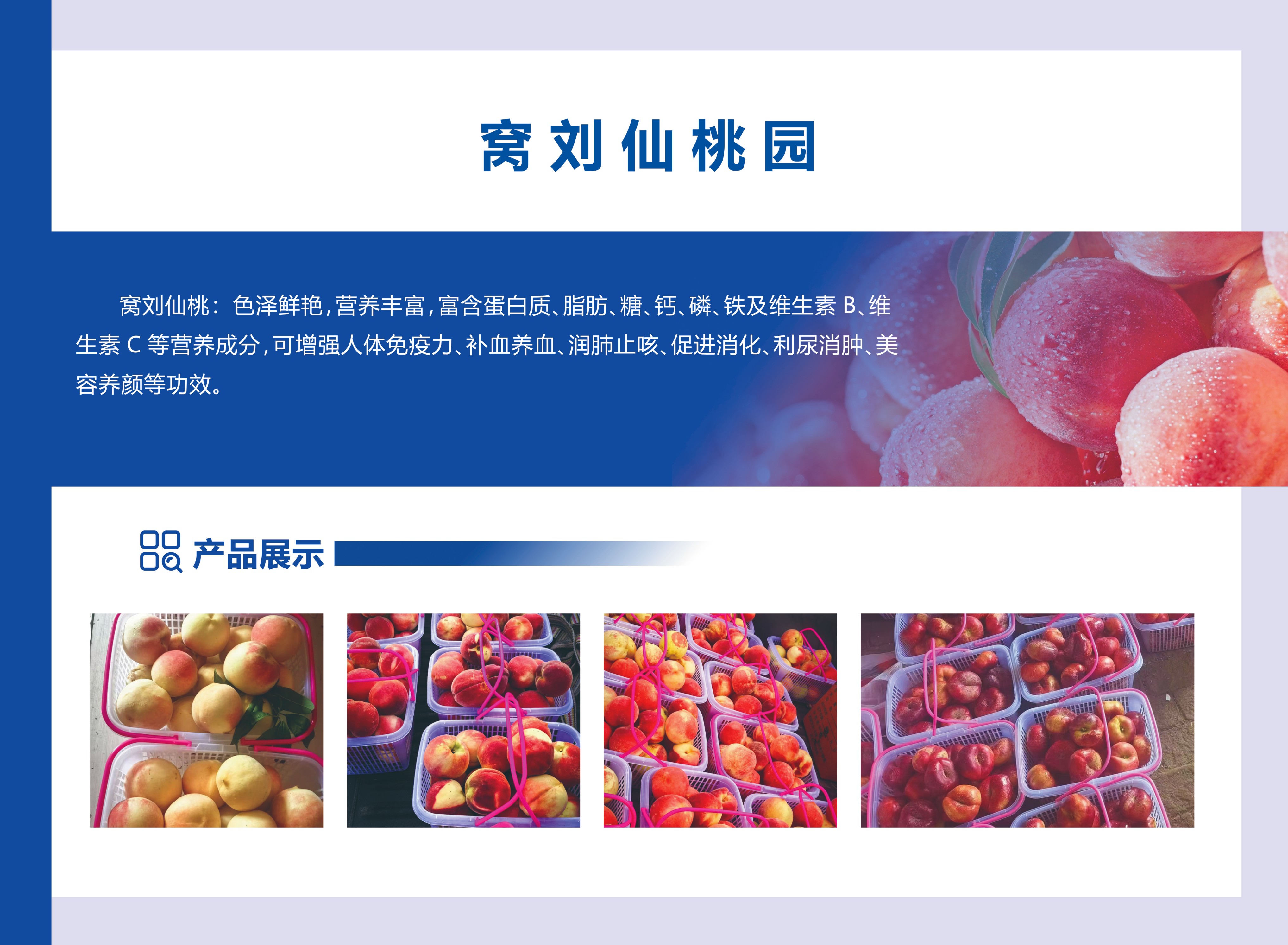 山东军创丨窝刘仙桃园