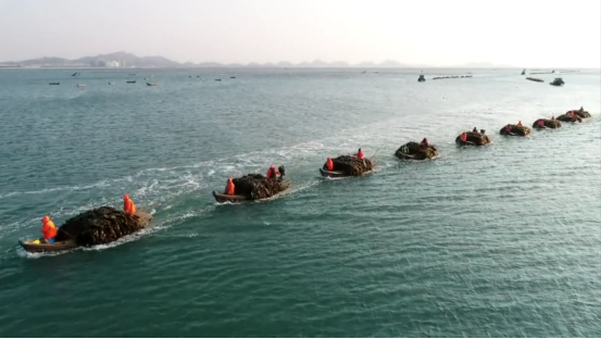 邮储银行威海市分行以“陪伴式服务”，做深做实蓝色金融大文章