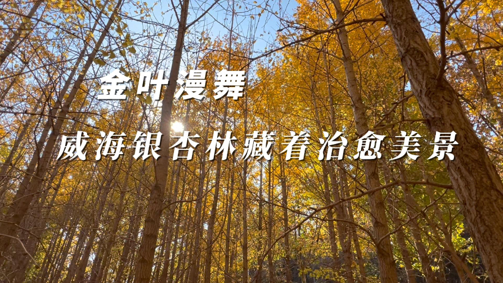 “治愈不美丽·鲁K有话说”——解锁威海主打治愈系小众打卡地