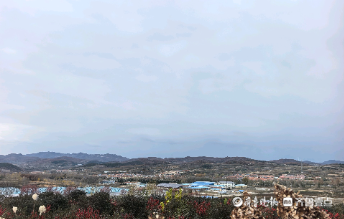 14村抱团咋让威海这一片区“整活”出圈？