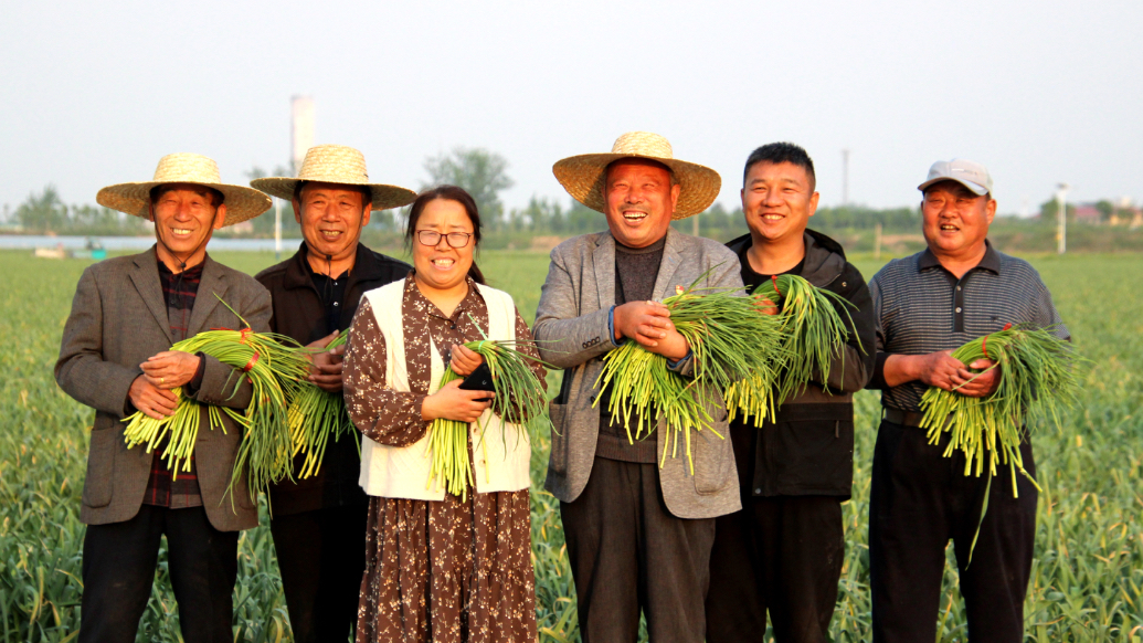 大蒜存冷库也能年入近百万？连片经营让各地客商主动找上门