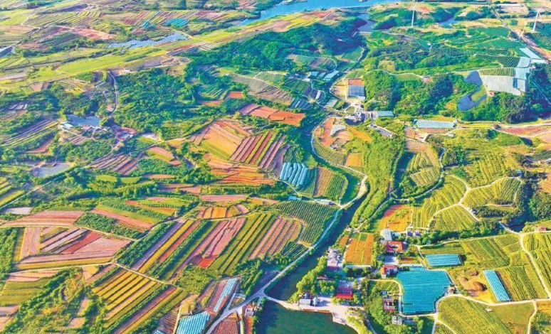 从一个片区，看山东乡村的变与新：走在前，靠什么？