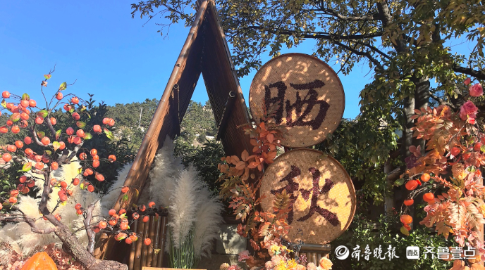 崂山小渔村近20家民宿日迎800客，村民身兼数职拿“多薪”