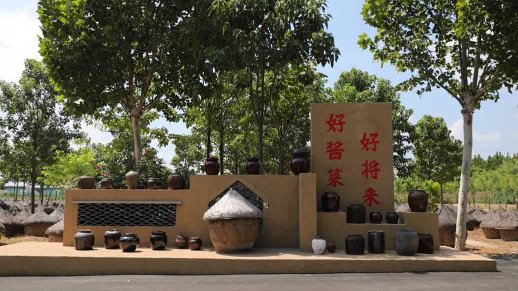 百年酱园里的共富密码，咸菜疙瘩让百姓月入过万